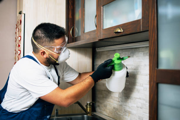 Best Pest Removal Services  in Manteno, IL