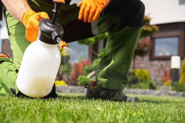 Pest Control Cost in Manteno, IL