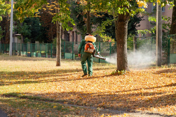 Best Bird Control  in Manteno, IL